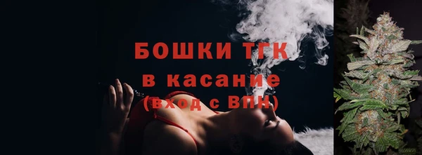 дурь Лабытнанги
