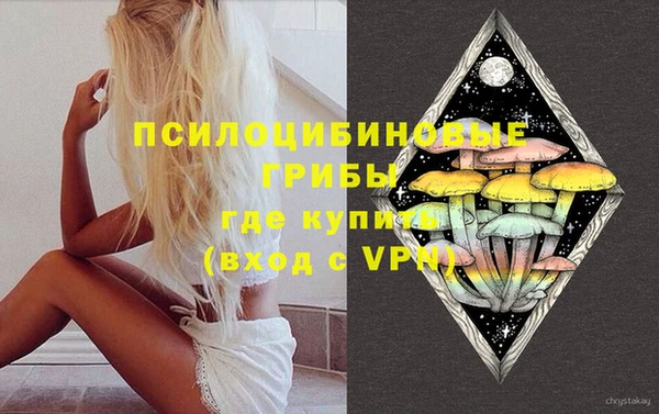 дурь Лабытнанги