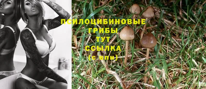 Галлюциногенные грибы Magic Shrooms  Нариманов 