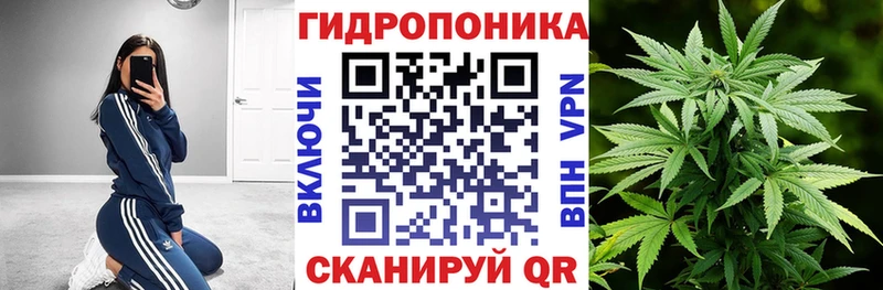 Каннабис Bruce Banner  KRAKEN рабочий сайт  дарк нет состав  Нариманов 